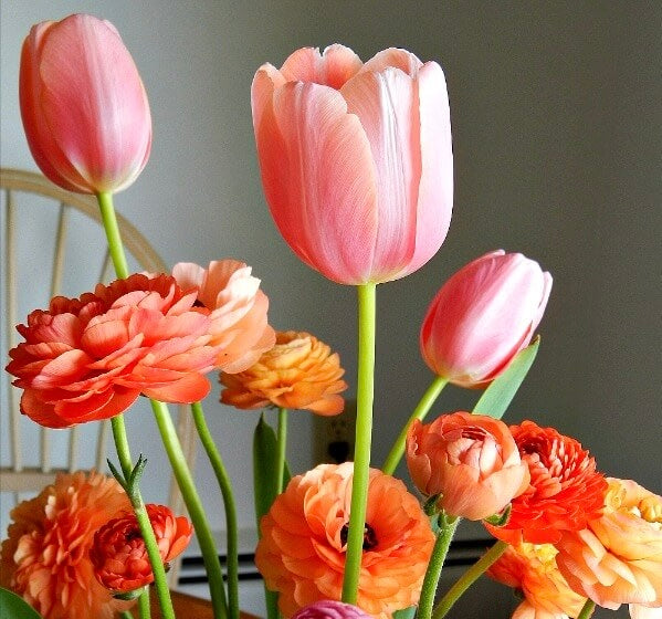 Spring Mix Bouquet